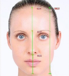 proporzioni del viso